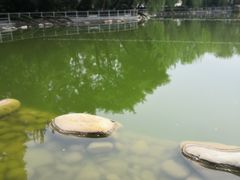 -莲湖公园