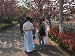 -圩墩遗址公园