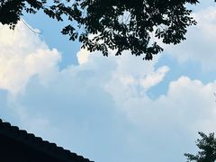 -大妙火锅·非物质文化遗产(东湖公园店)