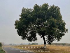 -良渚古城遗址公园
