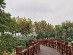 -金银湖国家城市湿地公园
