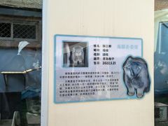 -青藏高原野生动物园