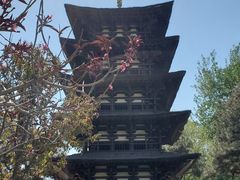 -北京世界公园