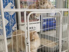 -锡才大羽羽毛球馆(深港花卉店)