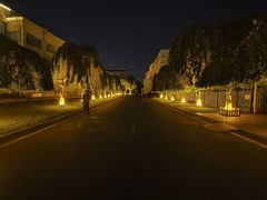 -宝山一号馕坑肉