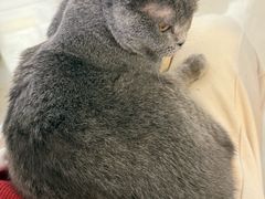 -平行世界·猫咖(首经贸店)