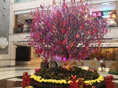-亚洲国际大酒店