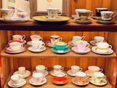 -樹下遇见树·咖啡