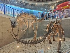 -国家自然博物馆