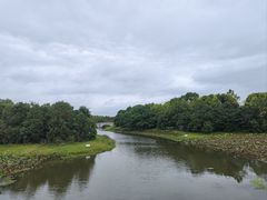 -上海海湾国家森林公园