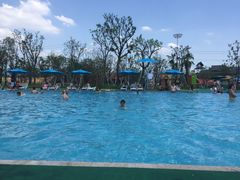 -苏州乐园森林水世界