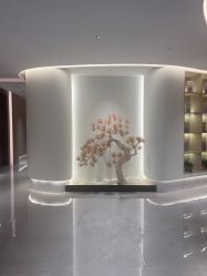 -雅荷悦来双美