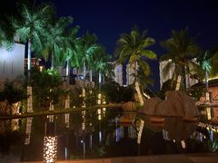 -海南椰子鸡餐厅(三亚湾红树林店)