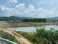 -西双版纳原始森林公园