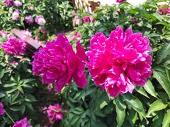 -莲池书院博物馆