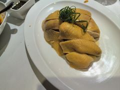 -圆苑(金茂店)