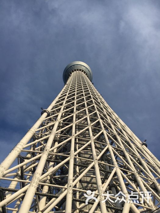 東京晴空塔圖片 - 第2張