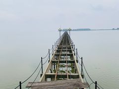 -洪湖生态旅游区