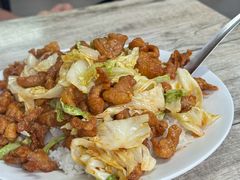 -满洲八旗铁锅靠大鹅(清泉文苑店)