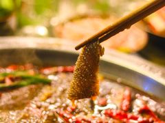 疯狂鲜毛肚-黄潇洒老火锅(九眼桥宏济巷店)