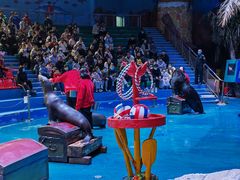 -烟台海昌鲸鲨海洋公园