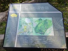 -白水寺森林公园