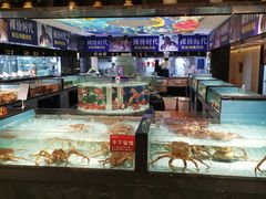 水产区-尚海豆捞(乐虹坊店)