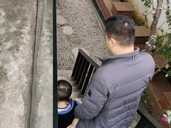 -云里小坐·小院里·团建·宴请·下午茶(三圣乡店)