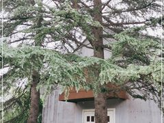 -宝鸡植物园