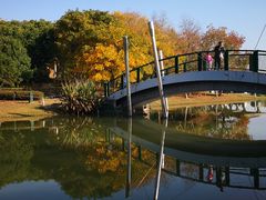 景点-白塘生态植物园
