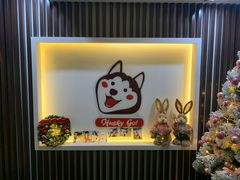 -Husky Go! 哈士奇体验馆·宠物咖啡厅狗咖