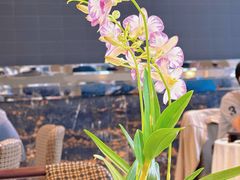 -寻味顺德·顺峰山庄(大良店)