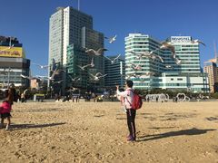 -海云台海滩