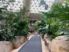 -杭州开元森泊度假乐园