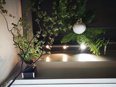 -琥珀咖啡 Ambercoffee