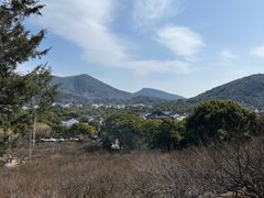 -香雪海