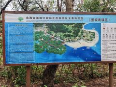 -北海金海湾红树林生态旅游区