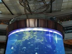 -OPEN開全日自助餐厅·牛肉火锅·海鲜(佛山希尔顿酒店)