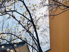 -龙华寺