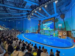 -石家庄极地海洋世界