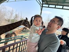 -秦皇岛野生动物园