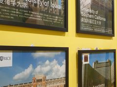 -杨梅红艺术教育(凤城教学中心)