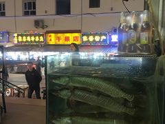 -煲来饱去冷水鱼