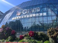 -花之城