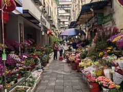 -越秀西湖花市(广州城市广场花卉店)