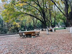 -山东大学(趵突泉校区)