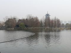 -洋湖国家湿地公园