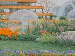 -海心沙亚运公园