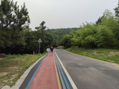 -南京市无想山景区