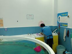 -鲸鱼堡亲子恒温泳池游泳俱乐部(彰泰天街店)